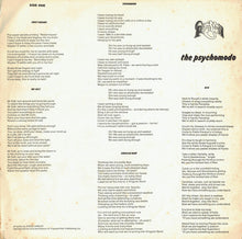 Carica l'immagine nel visualizzatore di Gallery, Cockney Rebel : The Psychomodo (LP, Album)