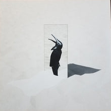 Carica l'immagine nel visualizzatore di Gallery, Penguin Cafe : The Imperfect Sea (LP, Album)