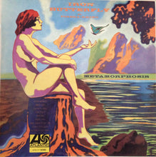 Carica l'immagine nel visualizzatore di Gallery, Iron Butterfly : Metamorphosis (LP, Album)
