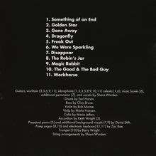 Carica l'immagine nel visualizzatore di Gallery, My Brightest Diamond : Bring Me The Workhorse (CD, Album)