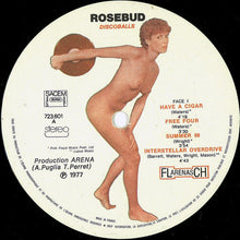 Carica l'immagine nel visualizzatore di Gallery, Rosebud : Discoballs (A Tribute To Pink Floyd) (LP)