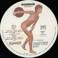 Carica l'immagine nel visualizzatore di Gallery, Rosebud : Discoballs (A Tribute To Pink Floyd) (LP)