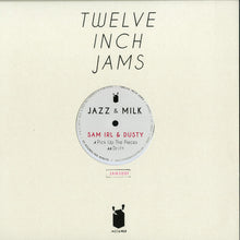 Carica l'immagine nel visualizzatore di Gallery, Sam Irl & Dusty (6) : Twelve Inch Jams 001 (12", Ltd)