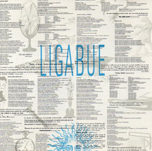 Carica l'immagine nel visualizzatore di Gallery, Ligabue* : Ligabue (CD, Album)