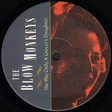 Carica l'immagine nel visualizzatore di Gallery, The Blow Monkeys : She Was Only A Grocer's Daughter (LP, Album, Ltd)