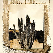 Carica l'immagine nel visualizzatore di Gallery, Poco (3) : Legacy (LP, Album)