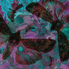 Carica l'immagine nel visualizzatore di Gallery, The Gentle Good : Y Gwyfyn (12", EP, Ltd, Pur)