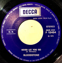 Carica l'immagine nel visualizzatore di Gallery, Bloodstone : Never Let You Go (7")
