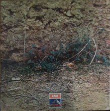 Carica l'immagine nel visualizzatore di Gallery, Adamo : Adamo (LP, Gat)