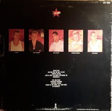Carica l'immagine nel visualizzatore di Gallery, Animal Nightlife : Shangri-La (LP, Album, RE)