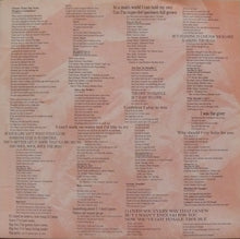 Carica l'immagine nel visualizzatore di Gallery, Nona Hendryx : Female Trouble (LP, Album)