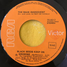 Carica l'immagine nel visualizzatore di Gallery, The Main Ingredient : Black Seeds Keep On Growing (7")
