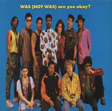 Carica l'immagine nel visualizzatore di Gallery, Was (Not Was) : Are You Okay? (LP, Album)