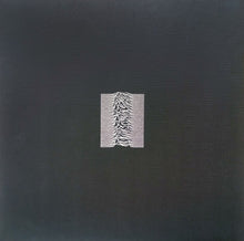 Carica l'immagine nel visualizzatore di Gallery, Joy Division : Unknown Pleasures (LP, Album, RE, RM, 180)