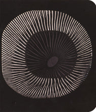 Carica l'immagine nel visualizzatore di Gallery, System Of A Down : Hypnotize (CD, Album, Dig)