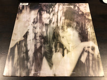 Carica l'immagine nel visualizzatore di Gallery, The Psychedelic Furs : Book Of Days (LP, Album, RE)