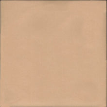 Carica l'immagine nel visualizzatore di Gallery, The Who : Live At Leeds (LP, Album, RE, 200)