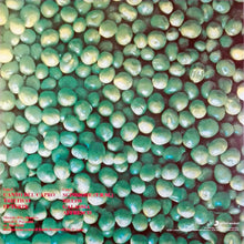 Carica l'immagine nel visualizzatore di Gallery, Cervello : Melos (LP, Album, RE, 180)