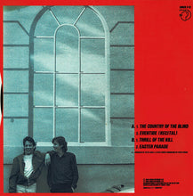 Carica l'immagine nel visualizzatore di Gallery, Faith Brothers : The Country Of The Blind (12", Single)