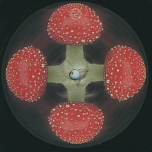 Carica l'immagine nel visualizzatore di Gallery, Mtc : Greetings From Beyond (12")