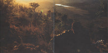 Carica l'immagine nel visualizzatore di Gallery, Nitin Sawhney : Prophesy (CD, Album)