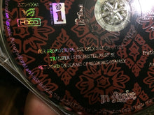 Carica l'immagine nel visualizzatore di Gallery, Linda Perry : In Flight (HDCD, Album, Promo)
