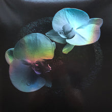 Carica l'immagine nel visualizzatore di Gallery, Mike Patton, Jean-Claude Vannier : Corpse Flower (LP, Album, Smo)