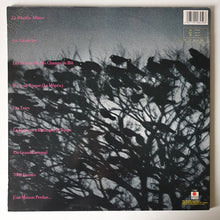Carica l'immagine nel visualizzatore di Gallery, Indochine : 7000 Danses (LP, Album, Gat)