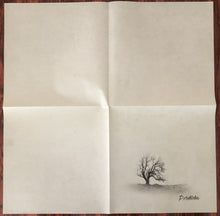 Carica l'immagine nel visualizzatore di Gallery, Stone Temple Pilots : Perdida (LP, Album)