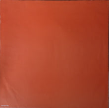 Carica l'immagine nel visualizzatore di Gallery, Billy Idol : Billy Idol (LP, Album)