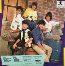Carica l'immagine nel visualizzatore di Gallery, Menudo : Menudo (LP, Album, Promo)