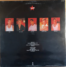 Carica l'immagine nel visualizzatore di Gallery, Animal Nightlife : Shangri-La (LP, Album)