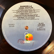 Carica l'immagine nel visualizzatore di Gallery, Animal Nightlife : Shangri-La (LP, Album)