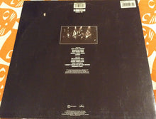 Carica l'immagine nel visualizzatore di Gallery, Slide (3) : Down So Long (LP, Album)