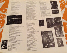 Carica l'immagine nel visualizzatore di Gallery, Slide (3) : Down So Long (LP, Album)