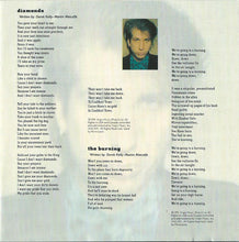 Carica l'immagine nel visualizzatore di Gallery, Goodbye Mr. Mackenzie : Goodbye Mr. Mackenzie (CD, Comp)