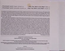 Carica l'immagine nel visualizzatore di Gallery, The Style Council : Promised Land (CD, Single)