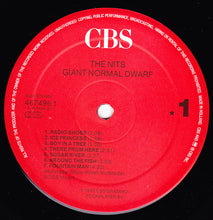 Carica l'immagine nel visualizzatore di Gallery, The Nits : Giant Normal Dwarf (LP, Album)