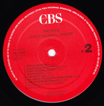 Carica l'immagine nel visualizzatore di Gallery, The Nits : Giant Normal Dwarf (LP, Album)