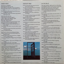 Carica l'immagine nel visualizzatore di Gallery, Nick Jameson : Already Free (LP, Album, Win)
