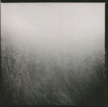 Carica l'immagine nel visualizzatore di Gallery, Sylvain Chauveau : The Black Book Of Capitalism (CD, Album, RE, RM)