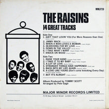 Carica l'immagine nel visualizzatore di Gallery, The Raisins : 14 Great Tracks (LP, Mono)
