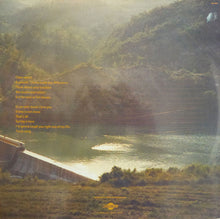 Carica l'immagine nel visualizzatore di Gallery, Mathilde Santing : Breast And Brow (LP, Album)