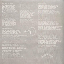 Carica l'immagine nel visualizzatore di Gallery, Reptiles At Dawn : After The Plague (2x7", Gat)