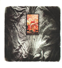 Carica l'immagine nel visualizzatore di Gallery, This Mortal Coil : Filigree & Shadow (CD, Album)