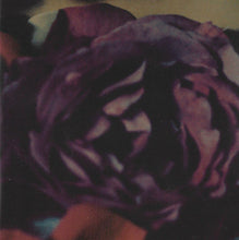 Carica l'immagine nel visualizzatore di Gallery, David Sylvian : I Surrender (CD, Single, CD1)