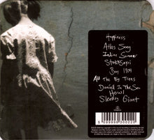 Carica l'immagine nel visualizzatore di Gallery, Jónsi & Alex : Riceboy Sleeps (CD, Album)