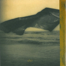 Carica l'immagine nel visualizzatore di Gallery, Cassandra Wilson : Belly Of The Sun (CD, Album)