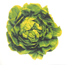 Carica l'immagine nel visualizzatore di Gallery, Squeeze (2) : Frank (LP, Album)