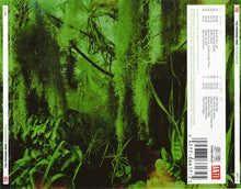 Carica l'immagine nel visualizzatore di Gallery, The Promise Ring : Wood/Water (CD, Album)